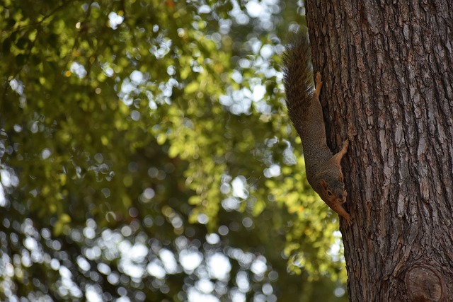 憑藉多方面 憑藉多方面