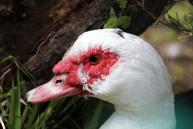 技表现关系 技表现关系