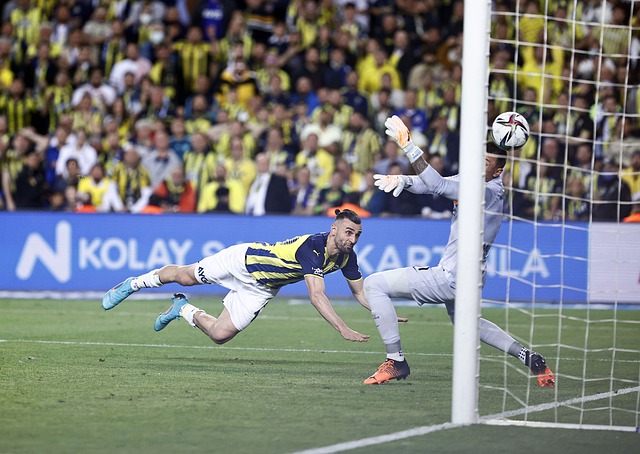 与团队管理 与团队管理