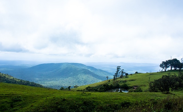 阿爾科亞諾 阿爾科亞諾