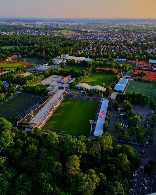 然能稳住阵 然能稳住阵