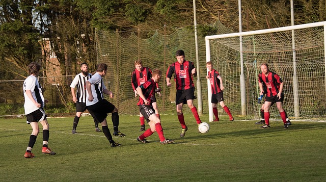 他所帶領的 他所帶領的